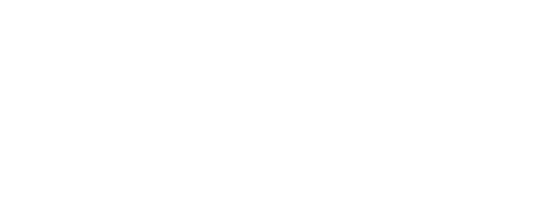 Diogo Palilo — Brand Designer